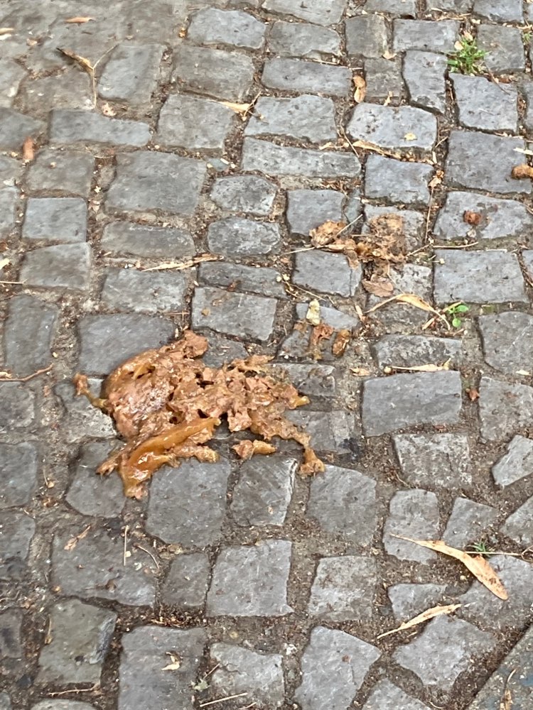 Giftköder-Nassfutter zum 2. mal in Folge-Profilbild