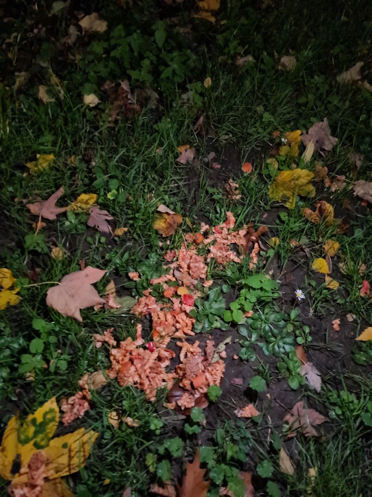 Giftköder-Aufpassen! Giftköder-Profilbild