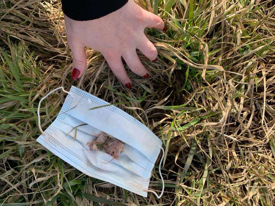 Giftköder-Giftköder-Profilbild