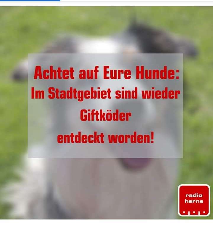 Giftköder-Giftköder-Profilbild