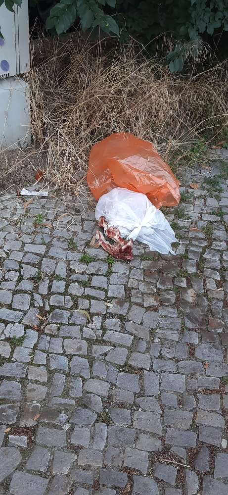 Giftköder-Knochen-Profilbild