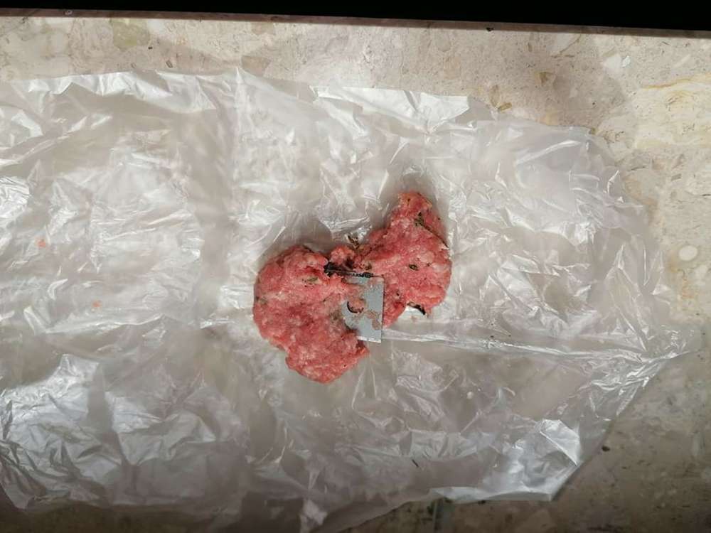 Giftköder-Mettwurst mit Rasierklingen-Profilbild