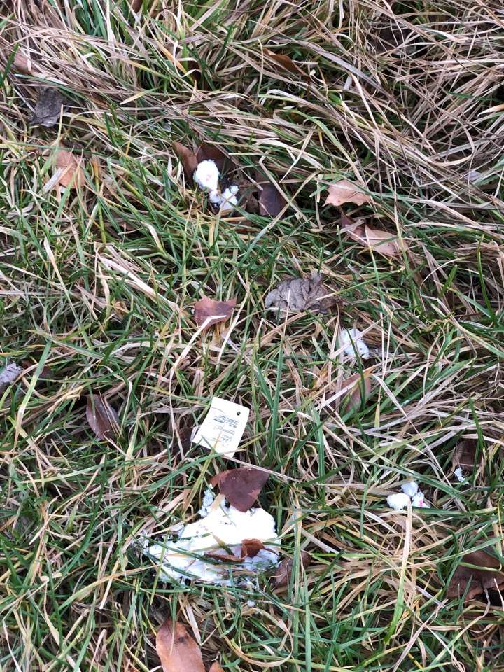 Giftköder-Weißes Pulver-Profilbild