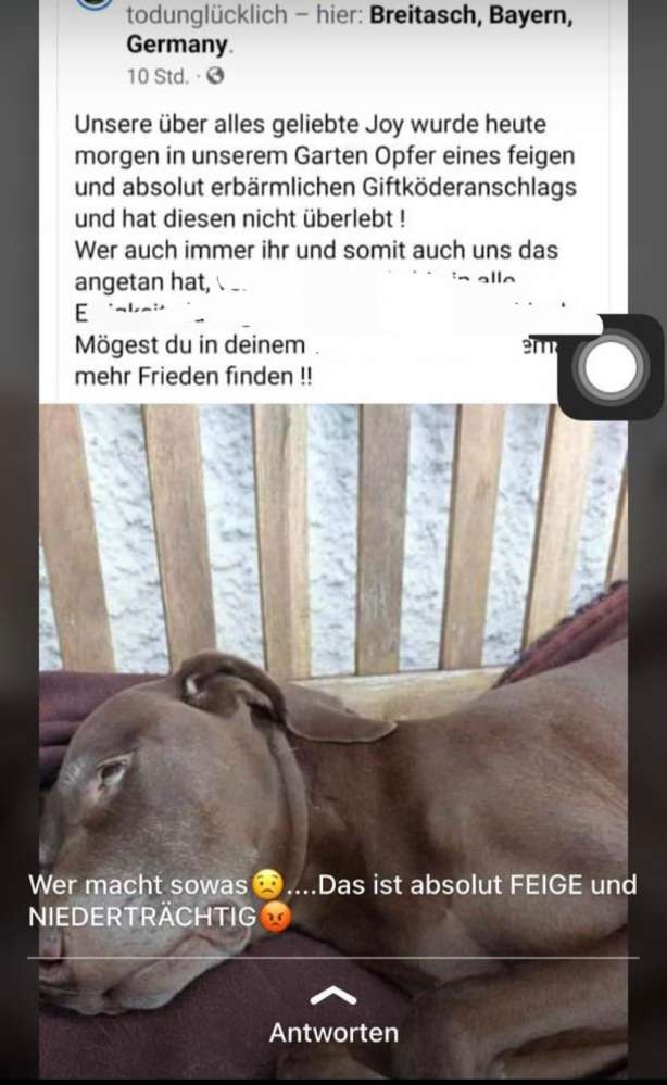 Giftköder-Giftköder übern Gartenzaun geschmissen..-Profilbild