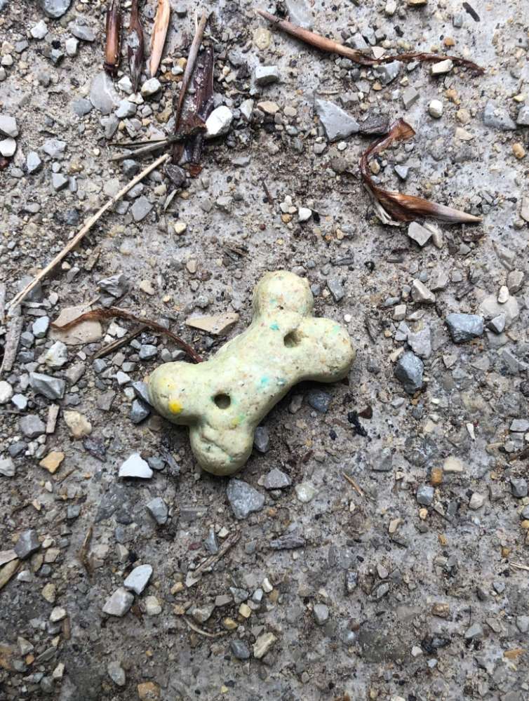 Giftköder-Möglicher Giftköder-Profilbild