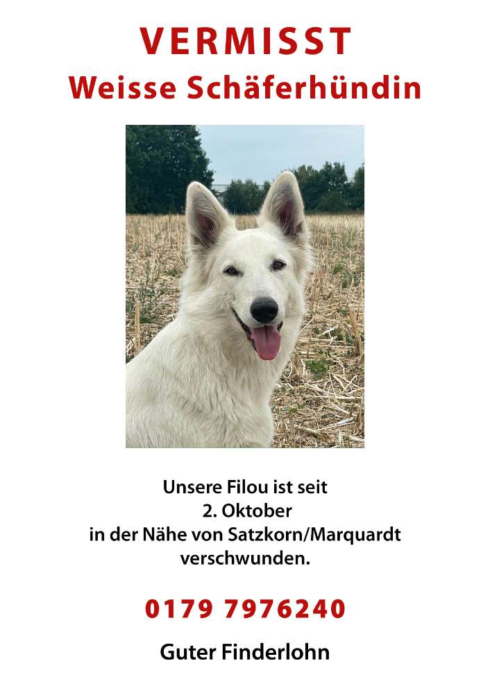 Suchmeldung-Filou-Profilbild