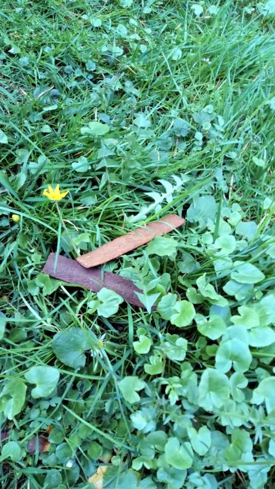 Giftköder-Leckerlies im Aichelepark Lörrach-Profilbild