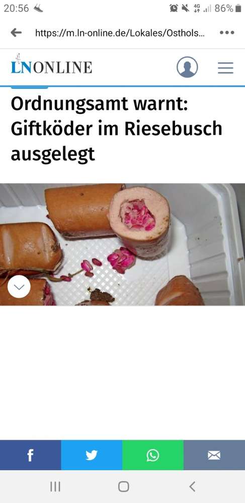 Giftköder-Giftköder im Riesebusch-Profilbild