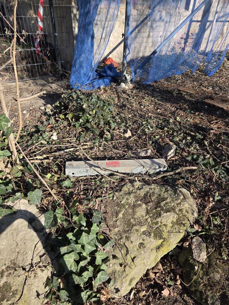 Giftköder-Rattengift-Profilbild