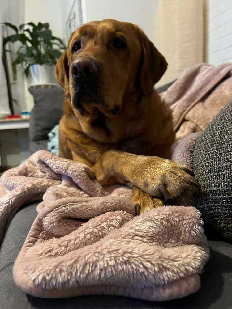 Suchmeldung-Arthos-Profilbild