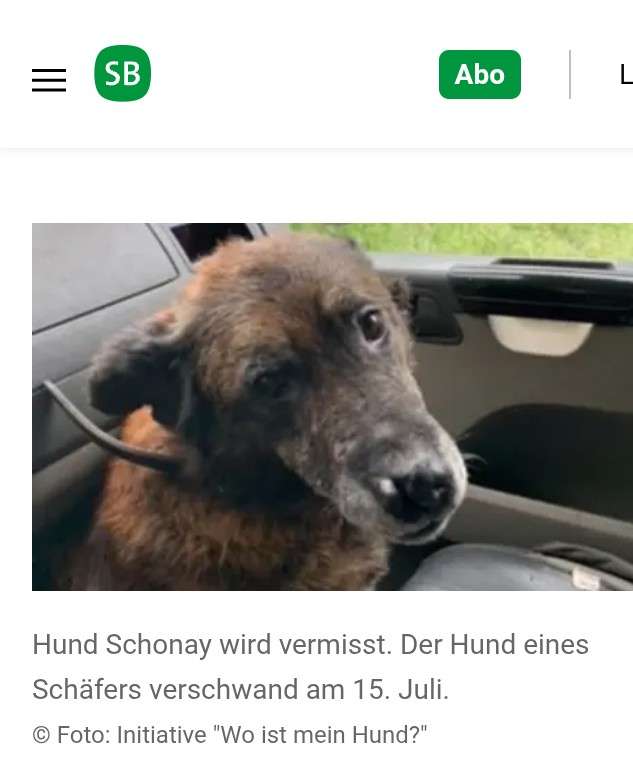 Suchmeldung-Schonay-Profilbild