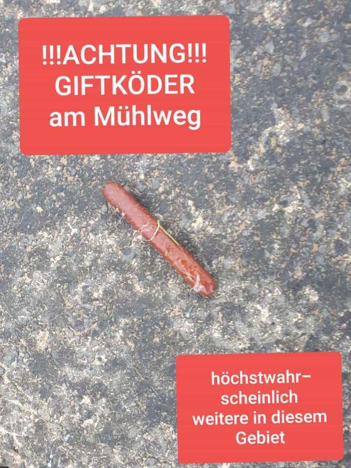 Giftköder-Giftköder-Profilbild