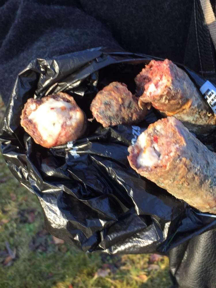 Giftköder-Giftköder im Westpark-Profilbild