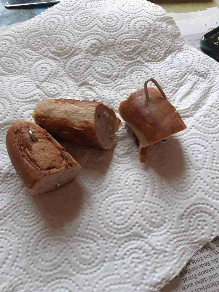 Giftköder-Wurst mit Nägeln-Profilbild