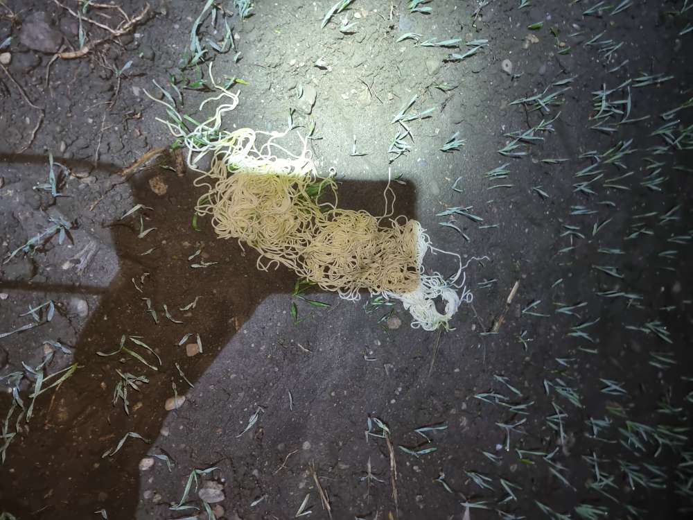 Giftköder-Giftköder oder Abfall-Profilbild