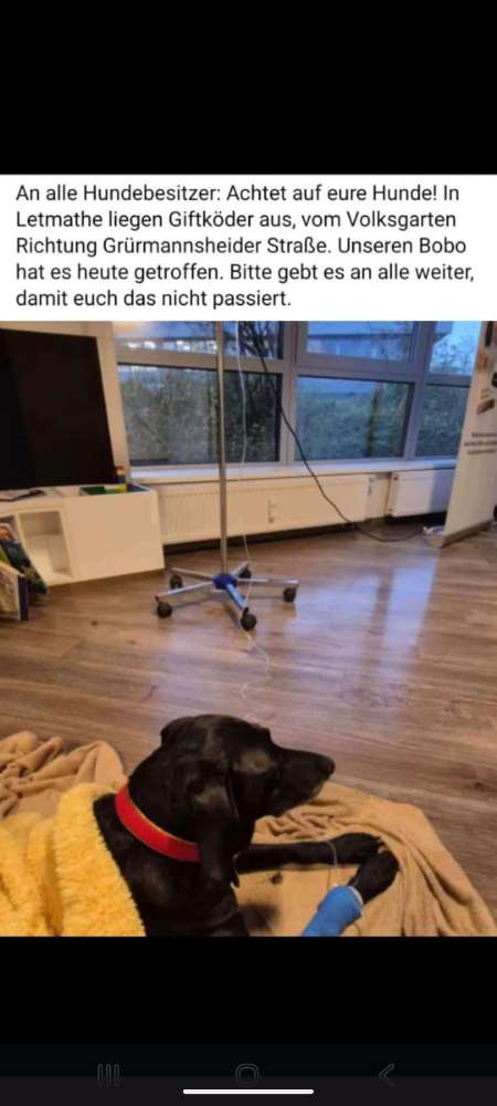 Giftköder-Giftköder-Profilbild