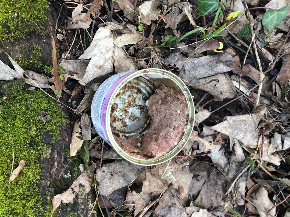 Giftköder-Nassfutter in einer Dose-Profilbild