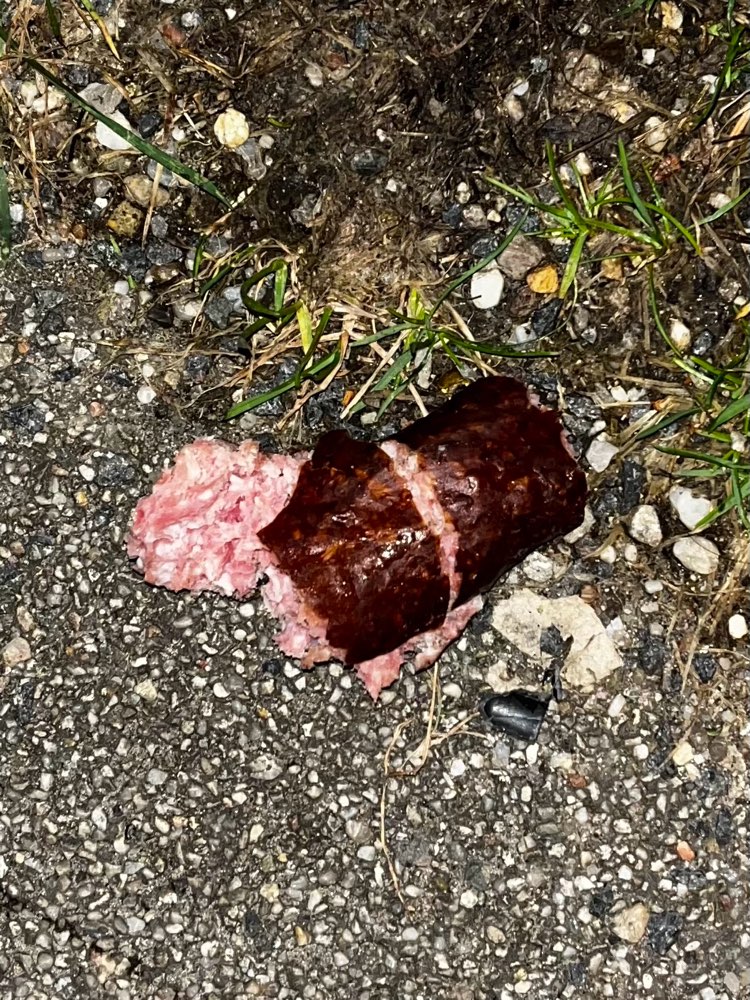 Giftköder-Eventueller Giftköder in Wurst-Profilbild