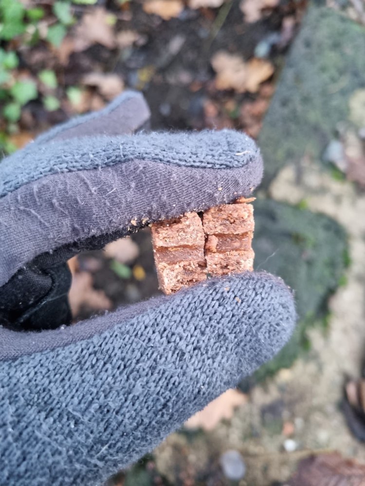 Giftköder-"Unklare Funde"-Profilbild