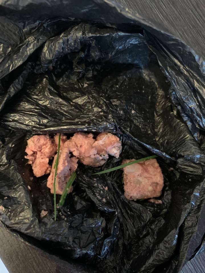 Giftköder-Giftköder-Profilbild