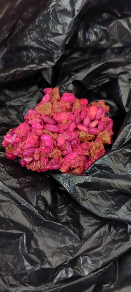 Giftköder-Schon wieder!! Giftköder-Profilbild