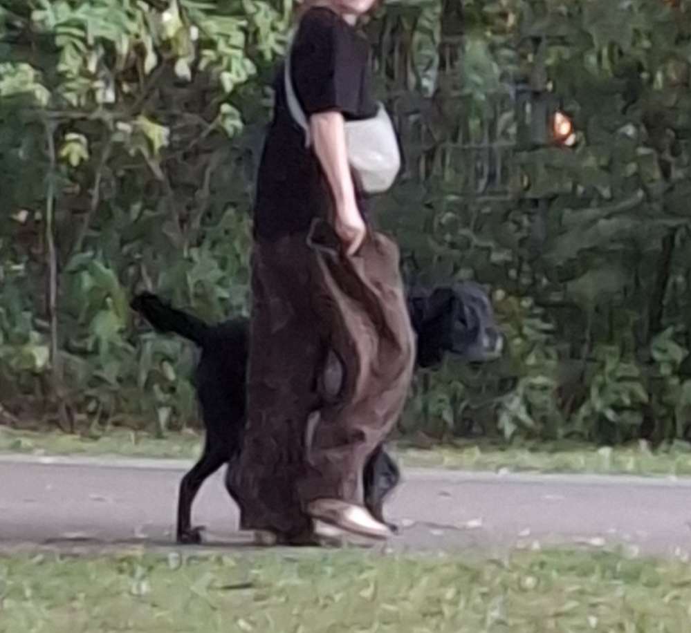 Giftköder-Freilaufender bissiger Hund-Profilbild