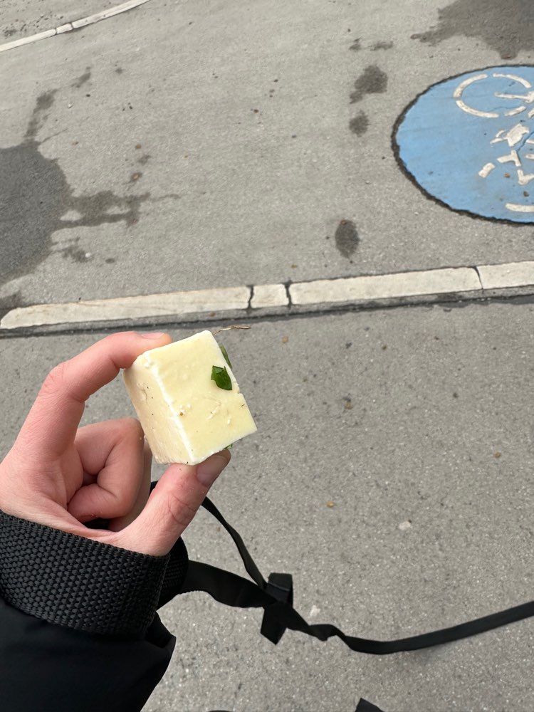 Giftköder-Wurst- und Käsebrocken-Profilbild