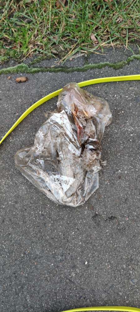 Giftköder-Knochen mit ätzend riechender Flüssigkeit/Gift?-Profilbild