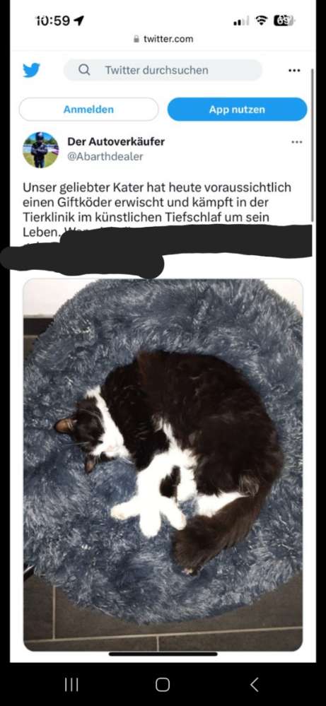 Giftköder-Katze vergiftet-Profilbild