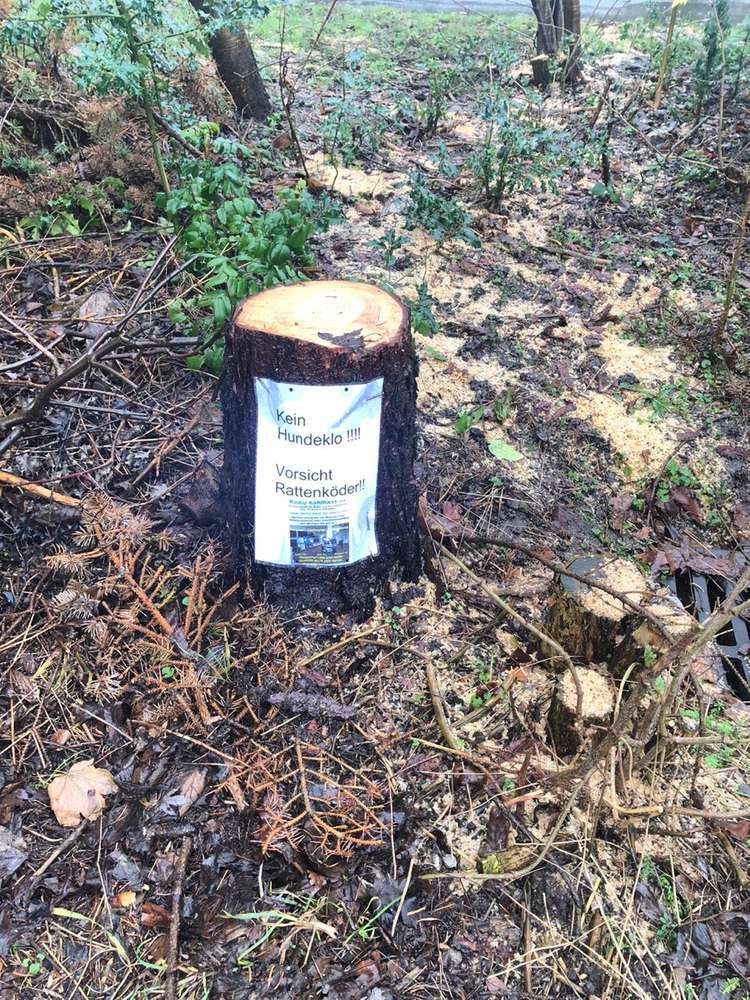 Giftköder-Giftköder-Profilbild