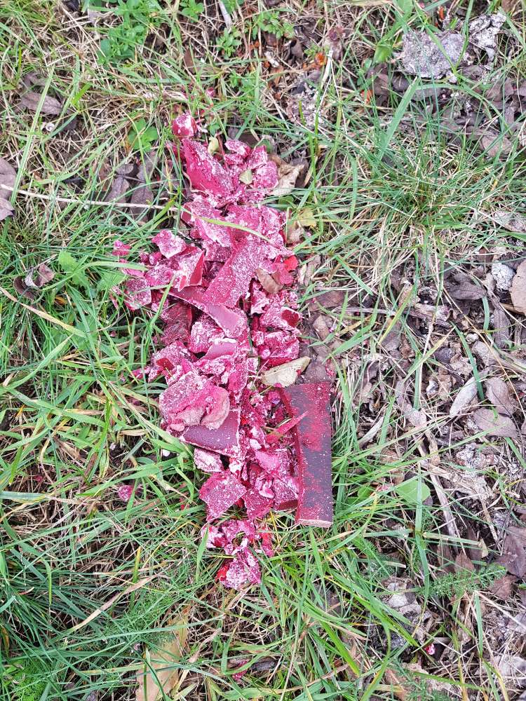 Giftköder-Undefinierbares-Profilbild