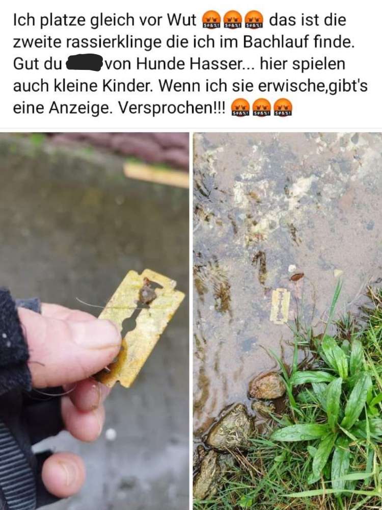 Giftköder-Rasierklingen im Bachlauf bei Röllbach-Profilbild