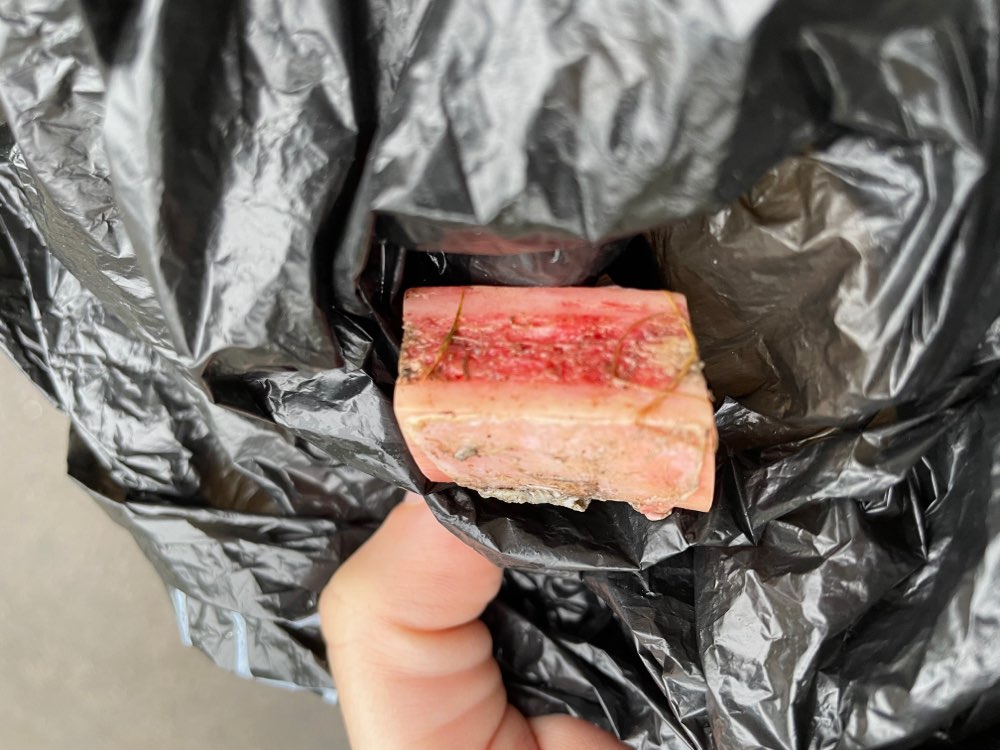 Giftköder-Markknochen-Profilbild