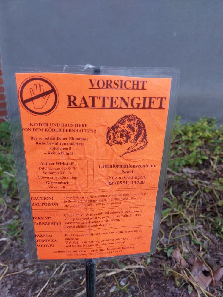 Giftköder-Rattengift ausgelegt .-Profilbild