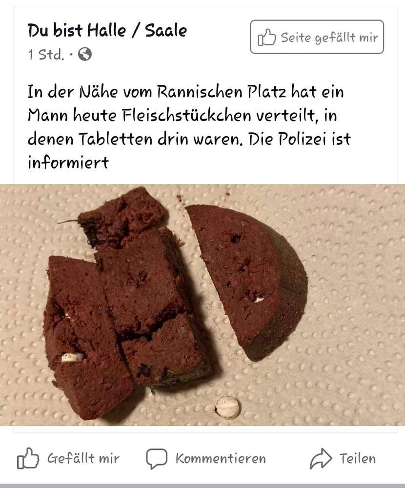 Giftköder-Fleischstückchen mit Tabletten-Profilbild
