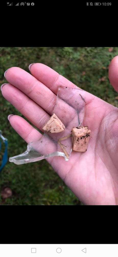 Giftköder-Evtl Giftköder-Profilbild