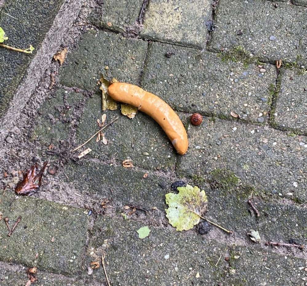 Giftköder-Giftköder, Wurst auf mehreren Metern-Profilbild