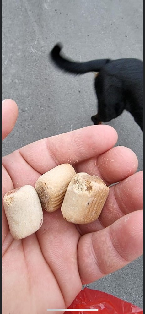 Giftköder-Verdächtige Leckerli-Profilbild