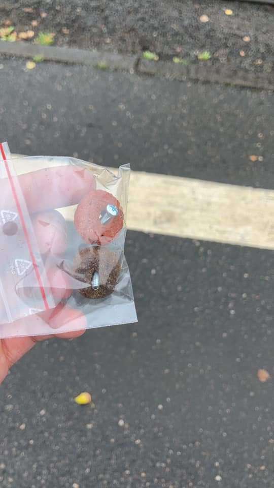 Giftköder-Giftköder-Profilbild