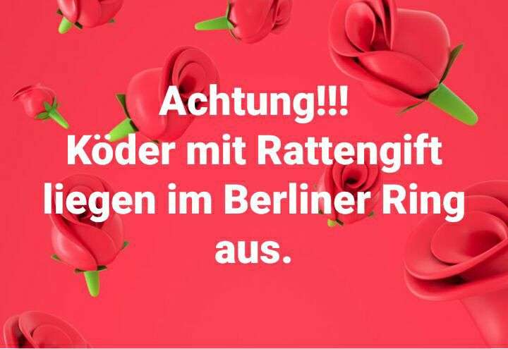 Giftköder-Giftköder-Profilbild