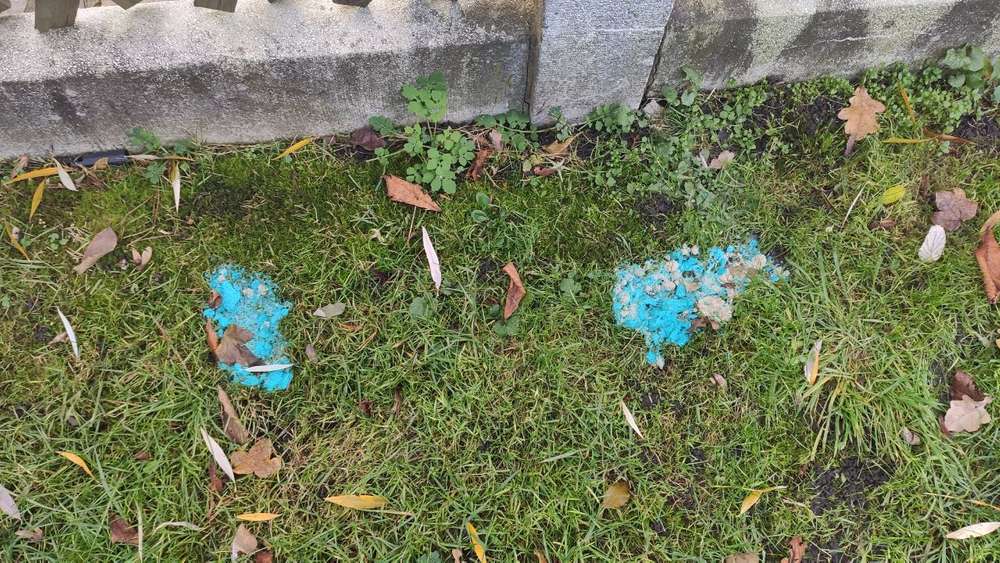 Giftköder-Giftköderverdacht-Profilbild