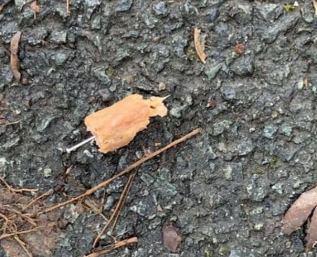 Giftköder-Gespickte Köder-Profilbild