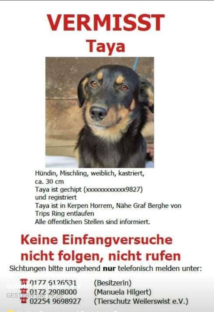 Suchmeldung-Taya-Profilbild