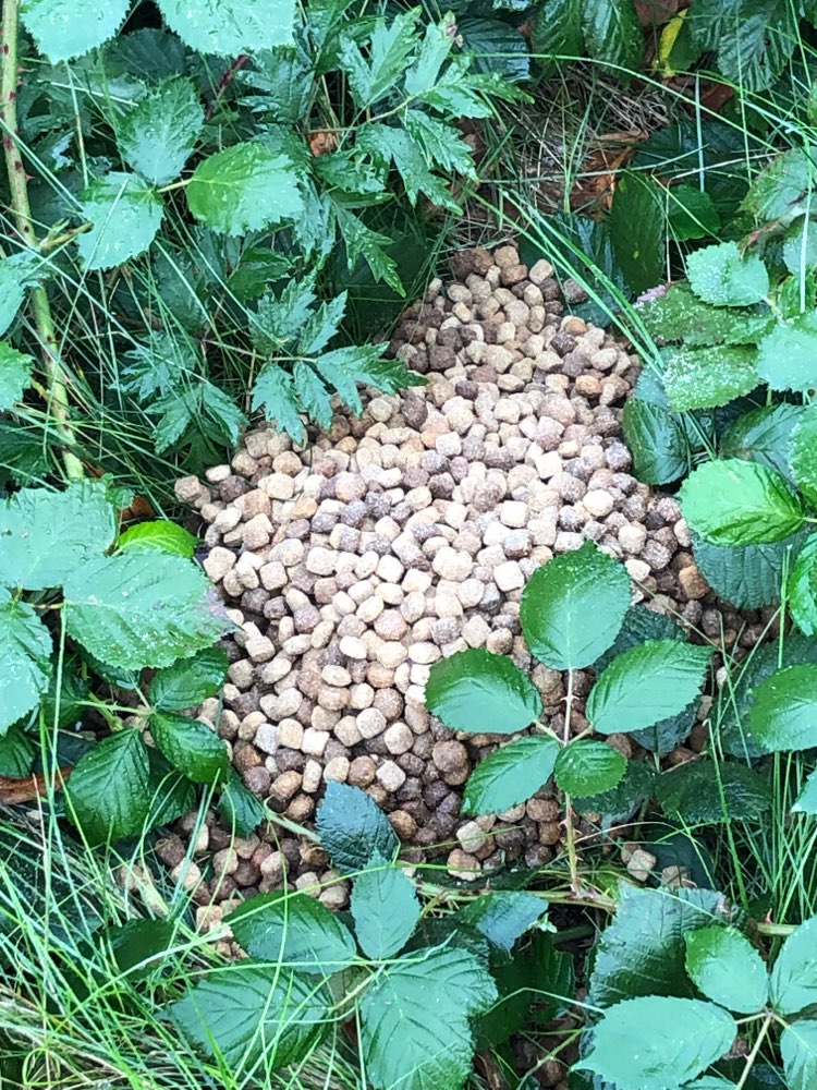 Giftköder-Vorsicht Hundefutter u Knochen ausgelegt-Profilbild