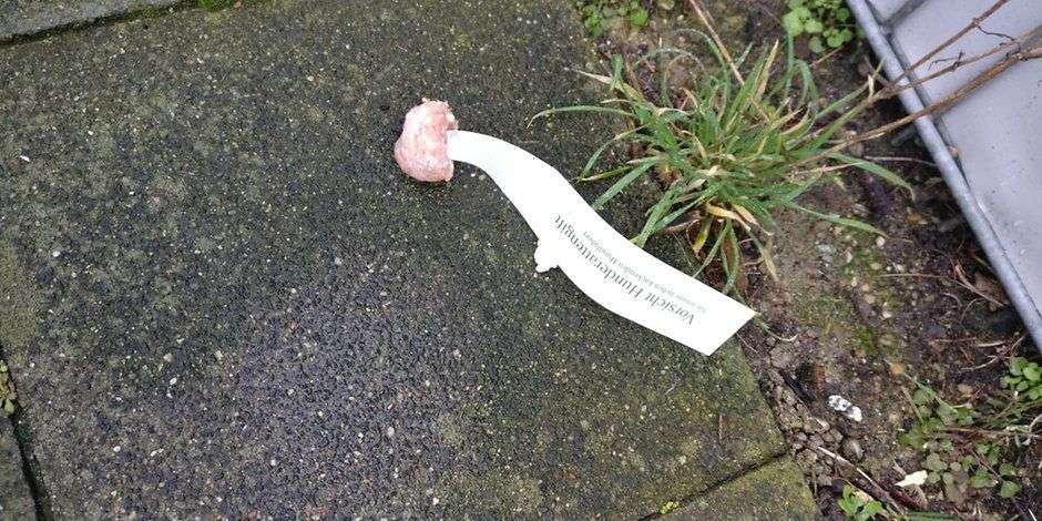 Giftköder-Vergiftete Köder mit Botschaft-Profilbild