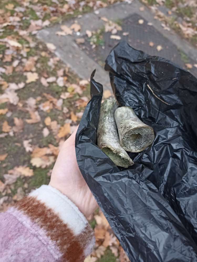 Giftköder-Alte Knochen-Profilbild