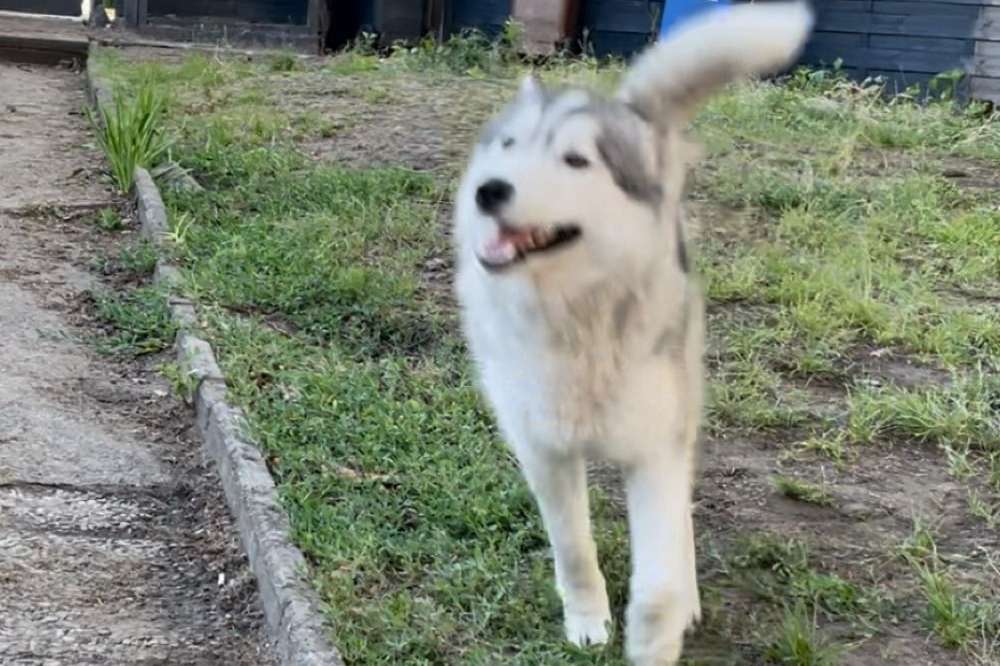 Suchmeldung-Snow-Profilbild