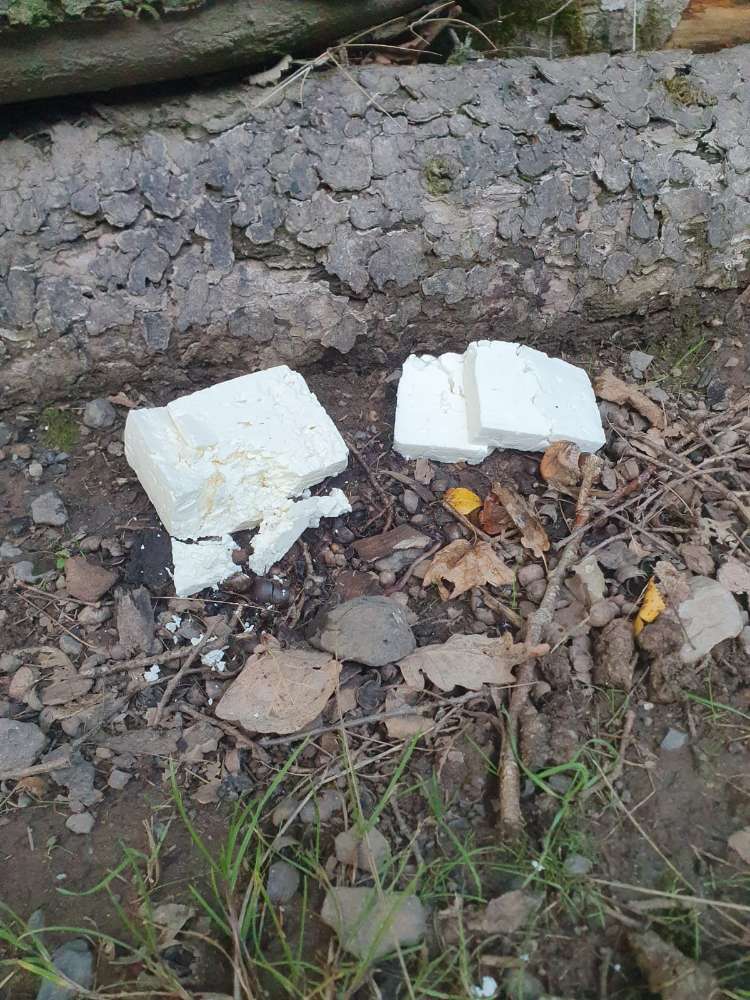 Giftköder-Ausgelegter Feta Käse Berg-Profilbild