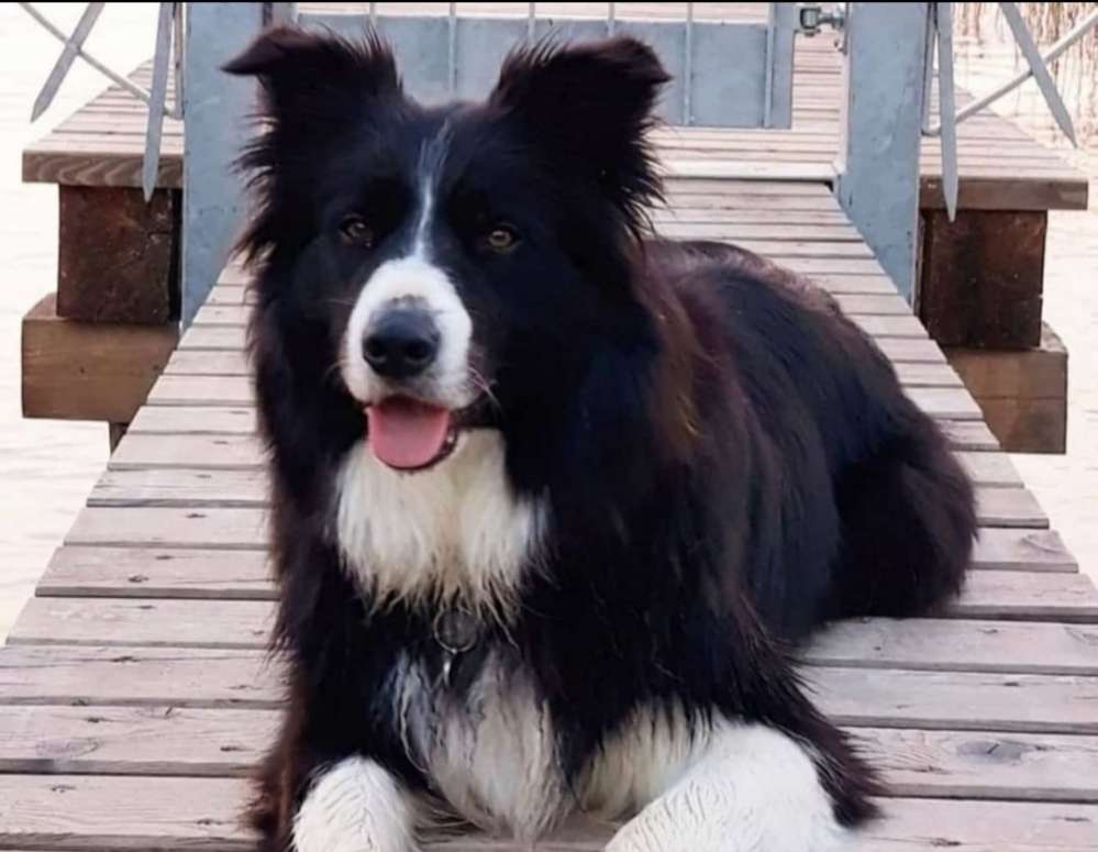 Suchmeldung-Samy-Profilbild