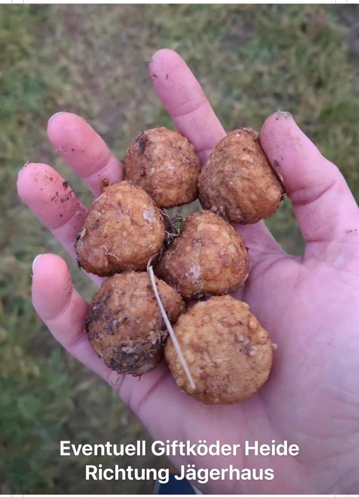 Giftköder-Giftköder-Profilbild